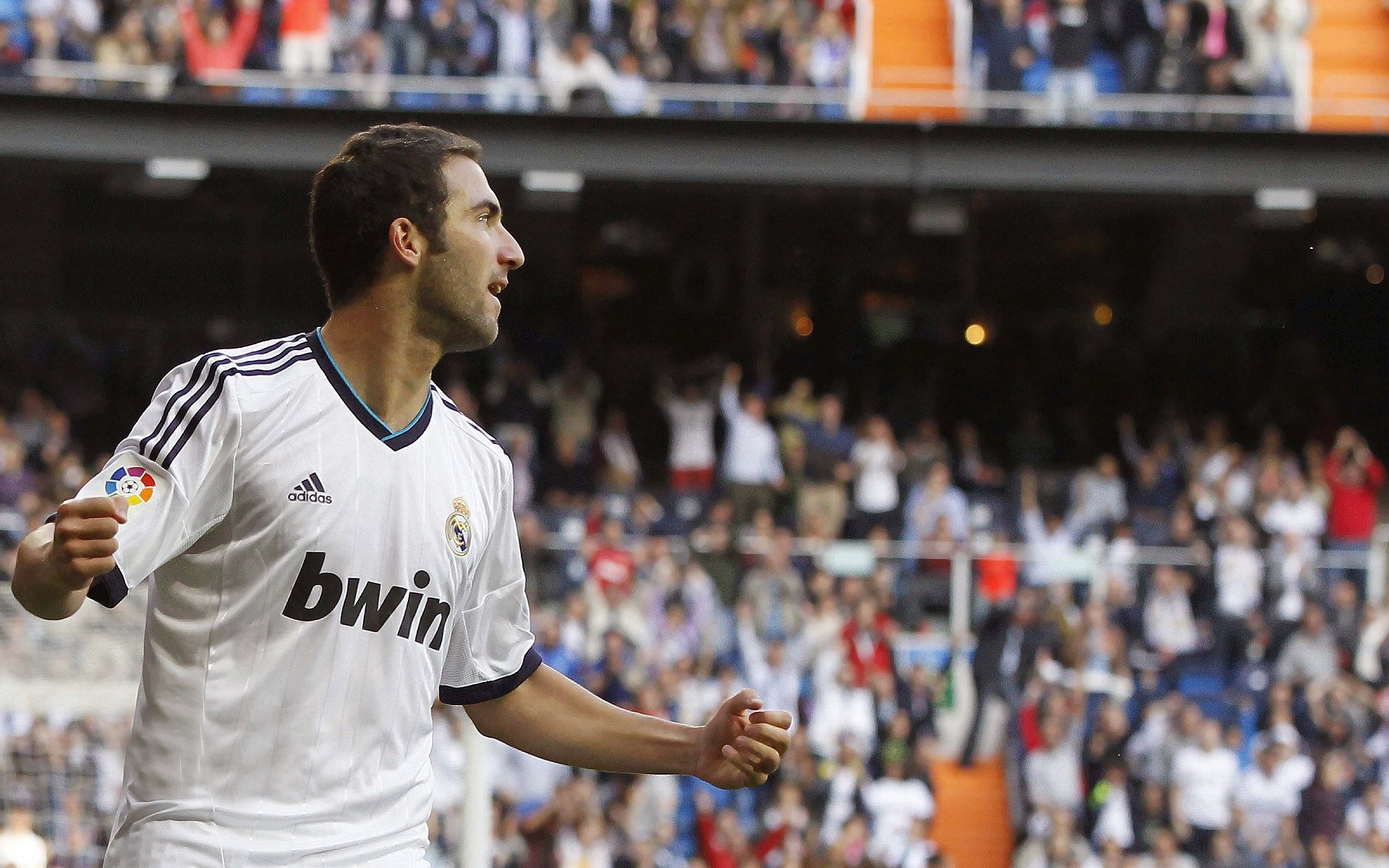 球迷骚乱致比赛中断 足协启动调查,足球比赛球迷