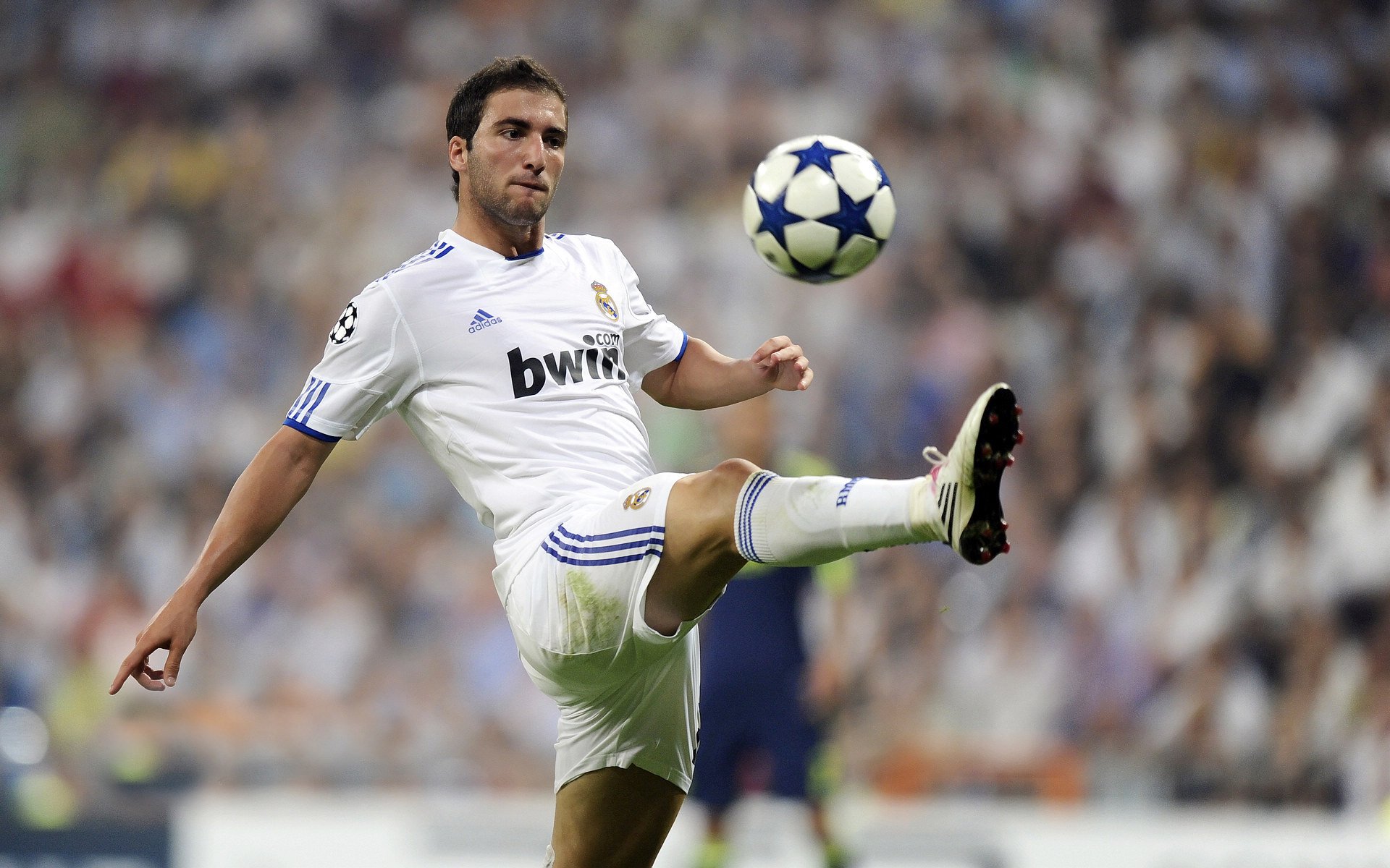 莱德基表现获国际媒体盛赞,莱德基表现获国际媒体盛赞的作品